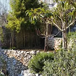 דירה Mel