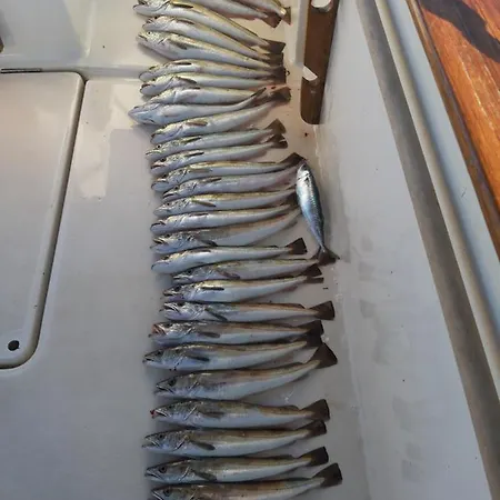 Appartement Mel Novi Vinodolski