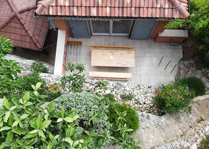 Mel 노비비노돌스키